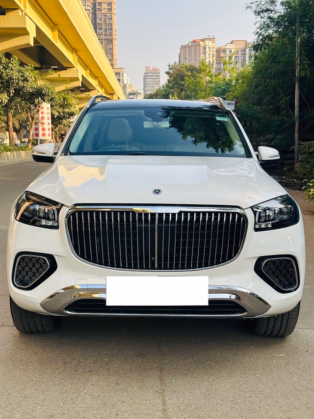 Mercedes-Benz Mercedes-Benz GLS view 2