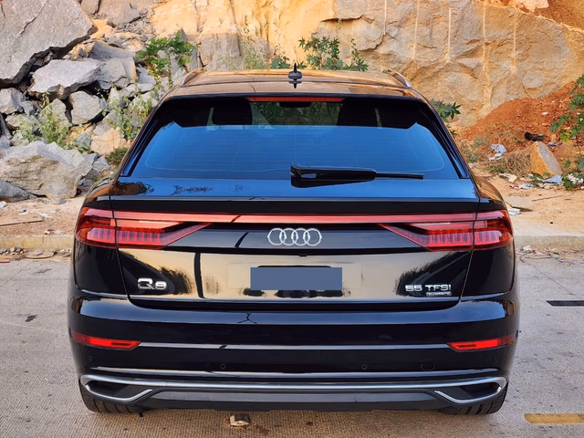 Audi Audi Q8 view 4