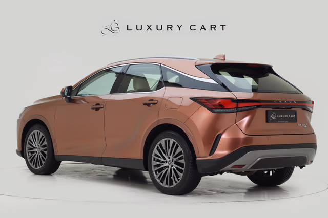 Lexus Lexus RX view 5