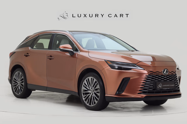 Lexus Lexus RX view 2