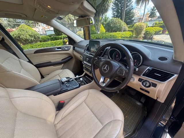 Mercedes-Benz Mercedes-Benz GLS view 5