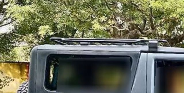 Mahindra Mahindra Thar view 3