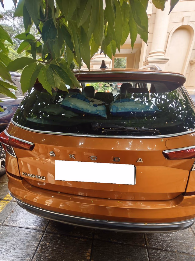 Skoda Skoda Kushaq view 3