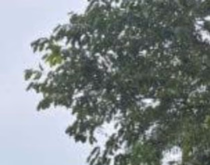 2024 Tata Tata Nexon